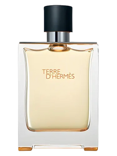 Terre d'Hermès Hermès for men