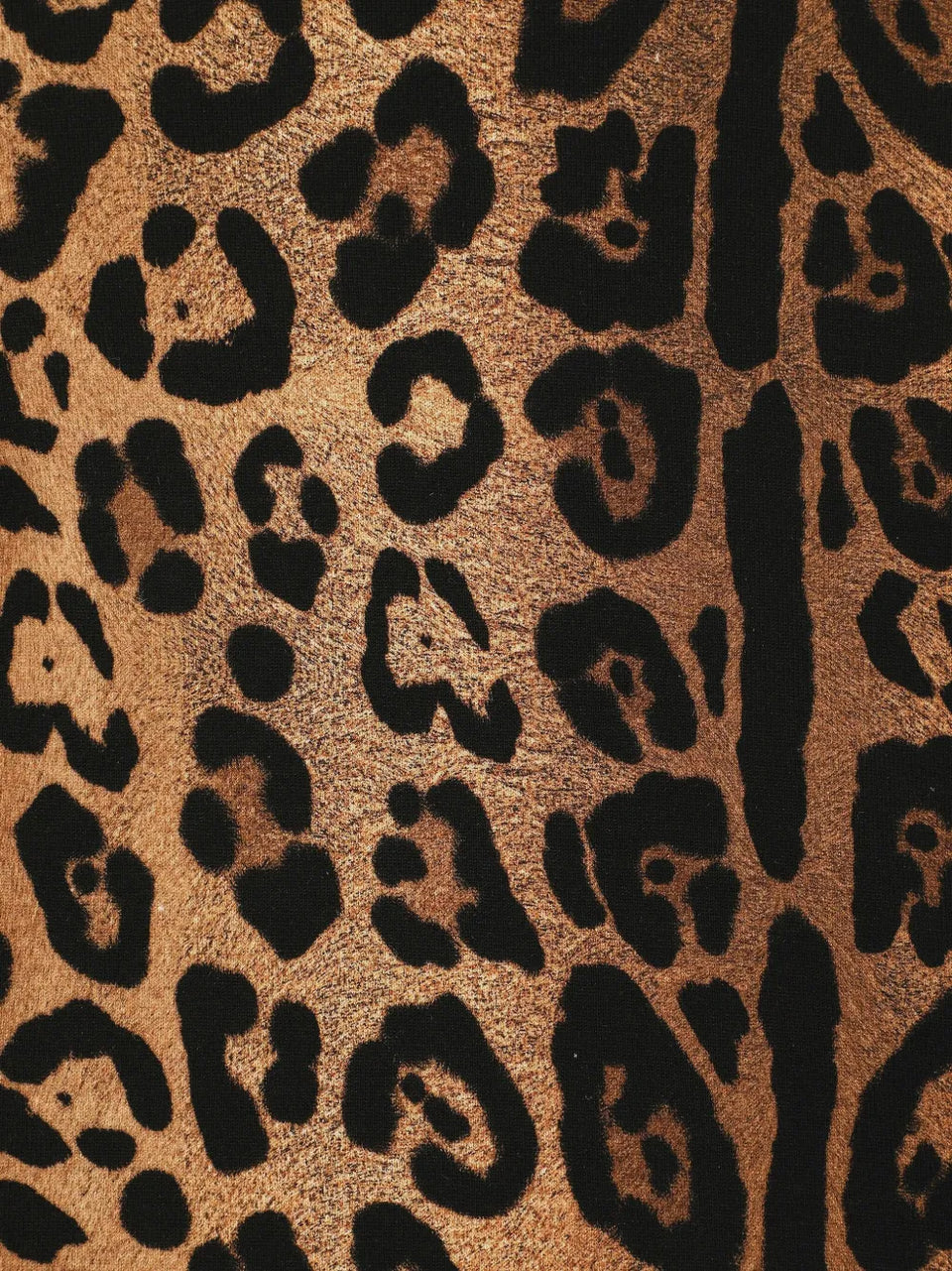 leopard-print crew-neck T-Shirt