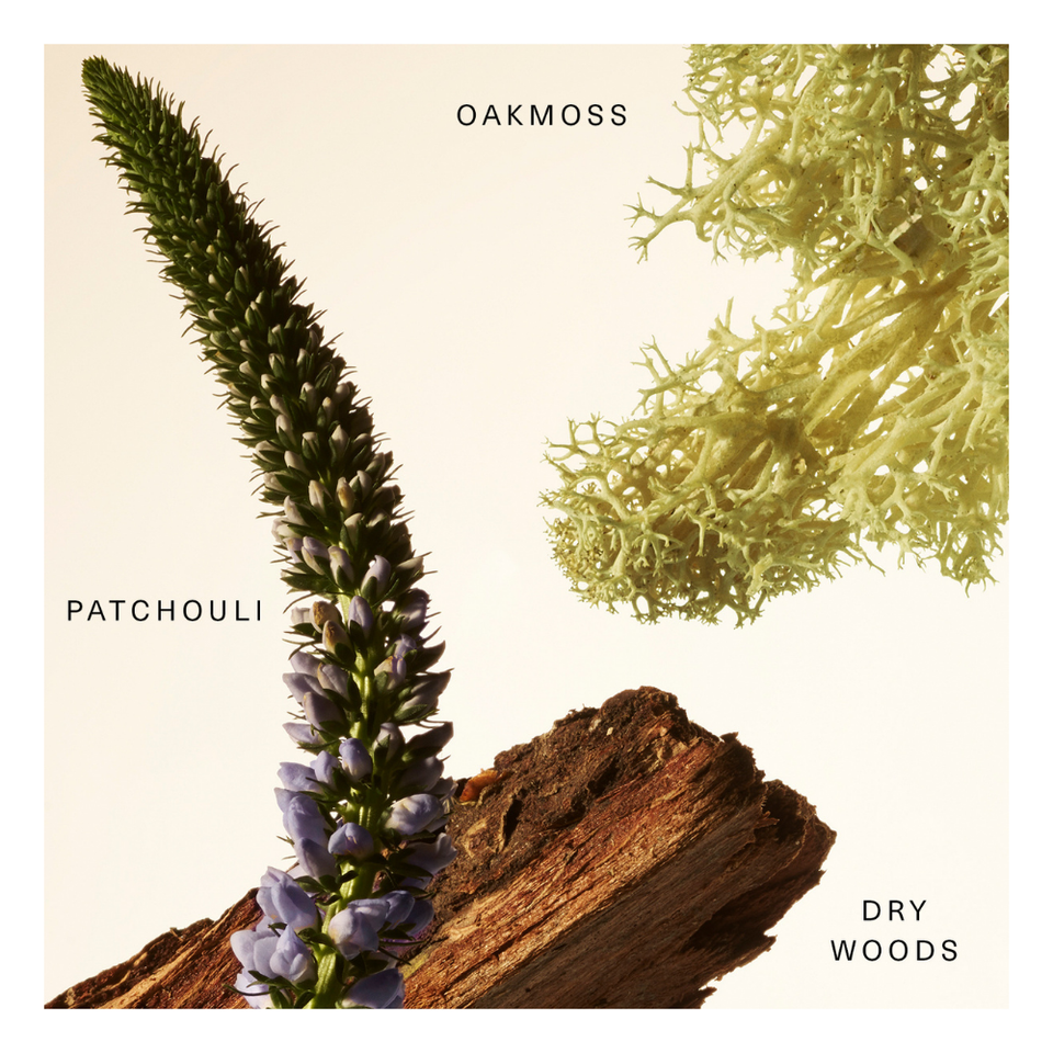 Woody Oak Rare Fragrance Layering Balm