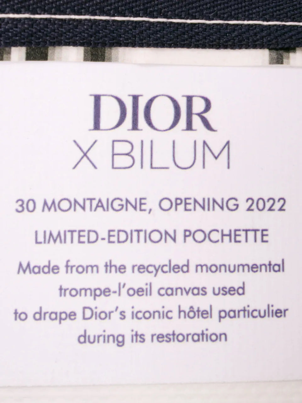 2022 Limited Edition Bilum Trompe Loeil Canvas 30 Montaigne Pochette pouch