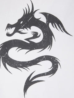 Dragon raglan-sleeve T-Shirt