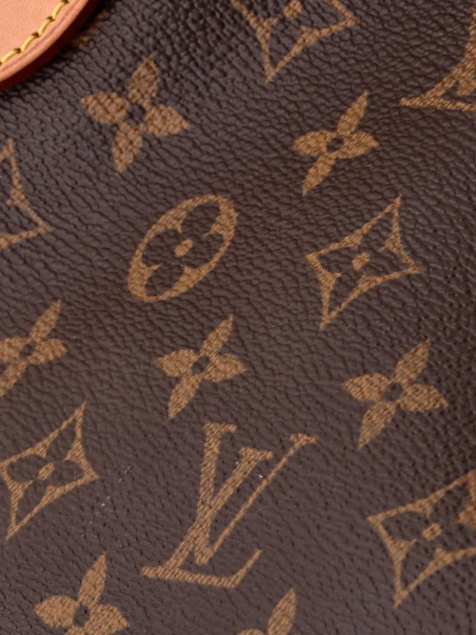 Neverfull Monogram Canvas GM tote bag