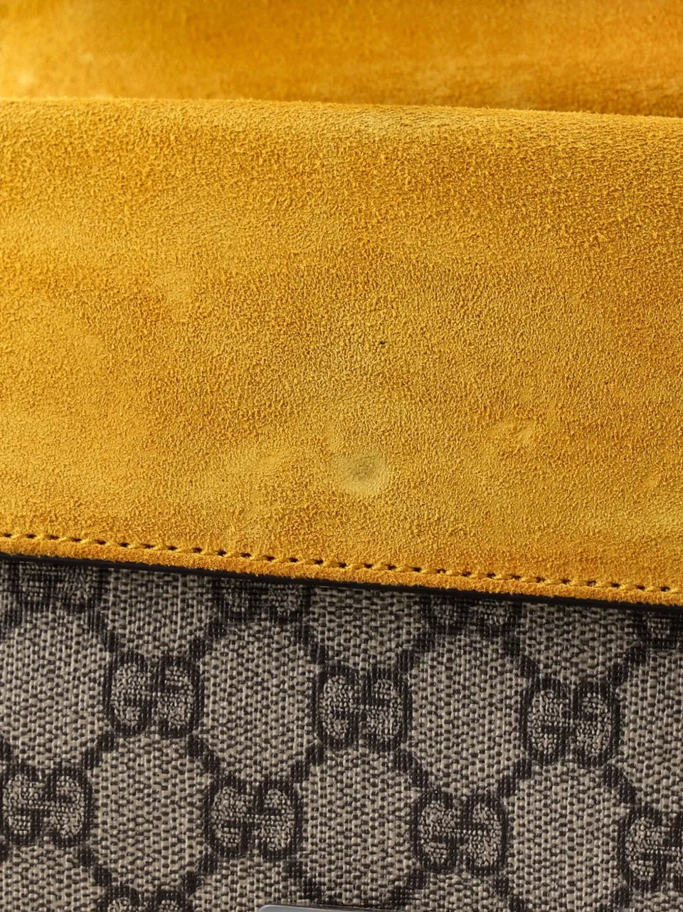 Dionysus Bag GG Coated Canvas Mini crossbody bag