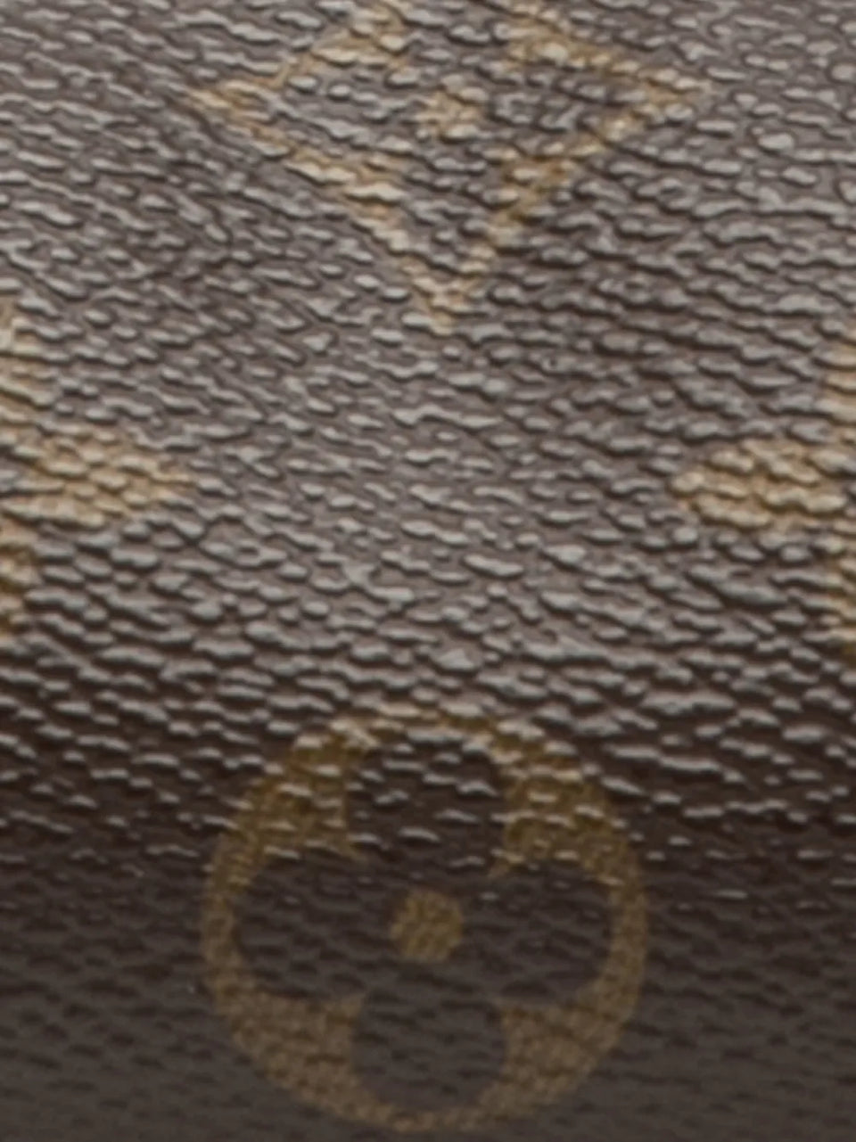 1980-2021 Monogram Papillon Pochette handbag