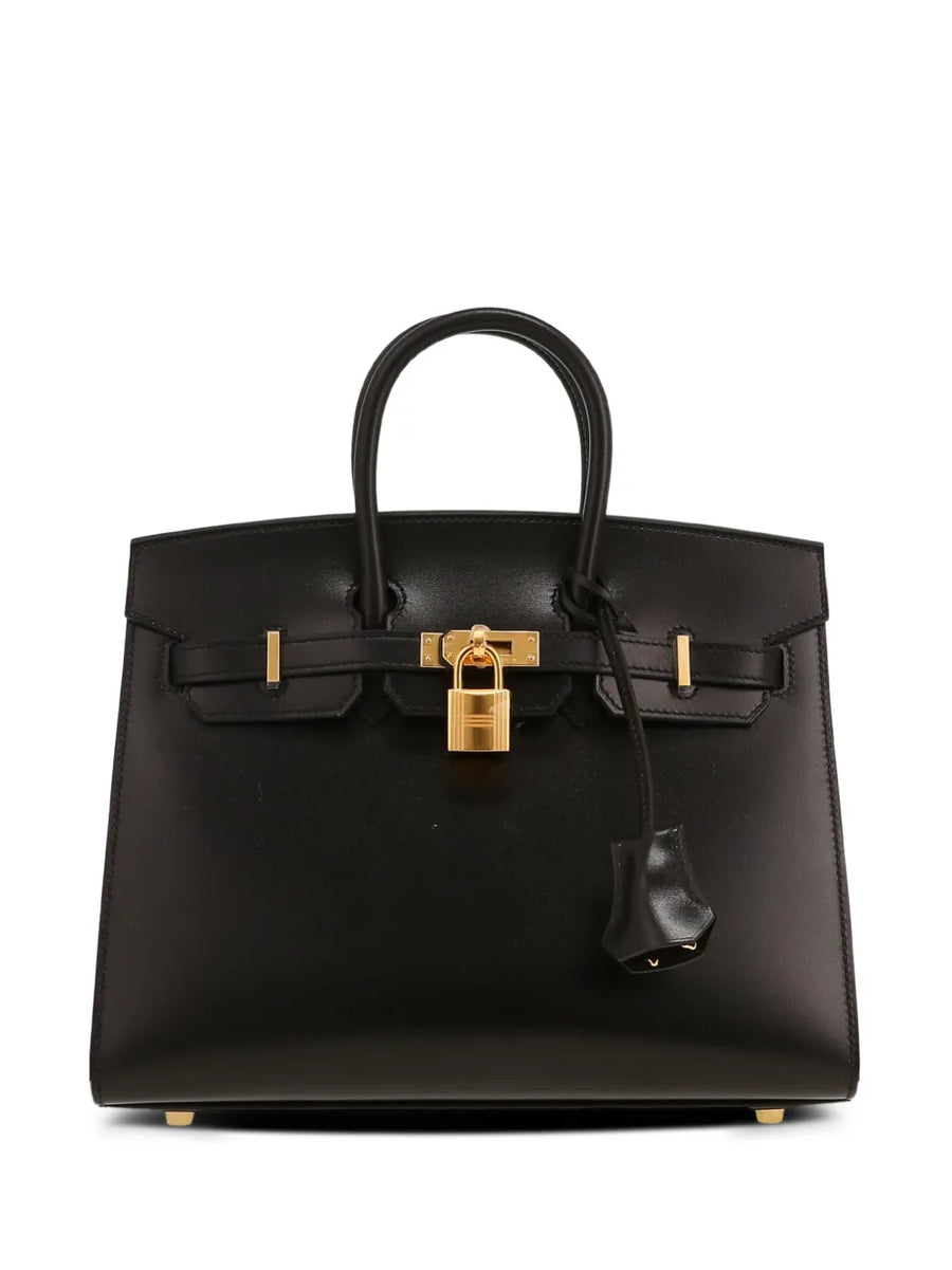 2025 Birkin 25 handbag