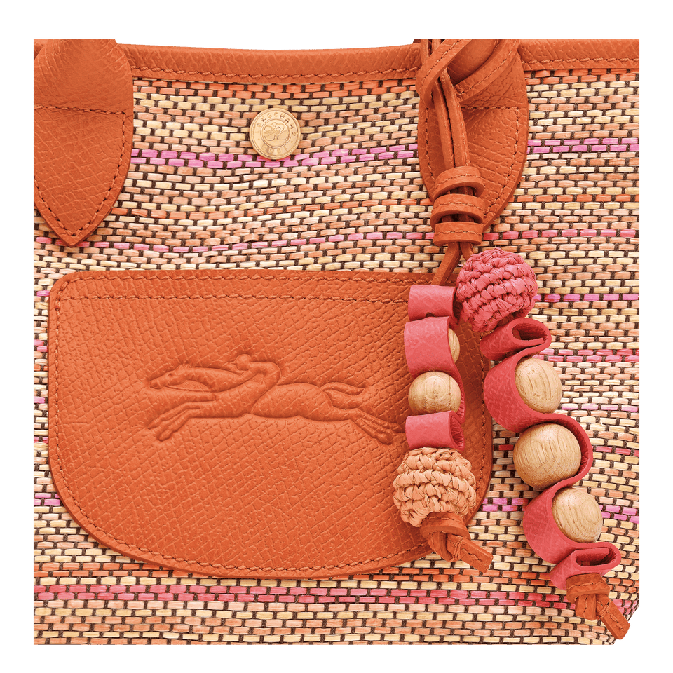 Longchamp Le Pliage Collection Basket bag Rainbow