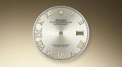 Rolex | Datejust | 126283rbr | Gold/Steel | 36 mm | Gold/Steel | Silver | Automatic