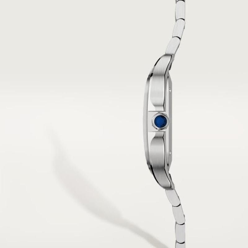 Cartier Santos