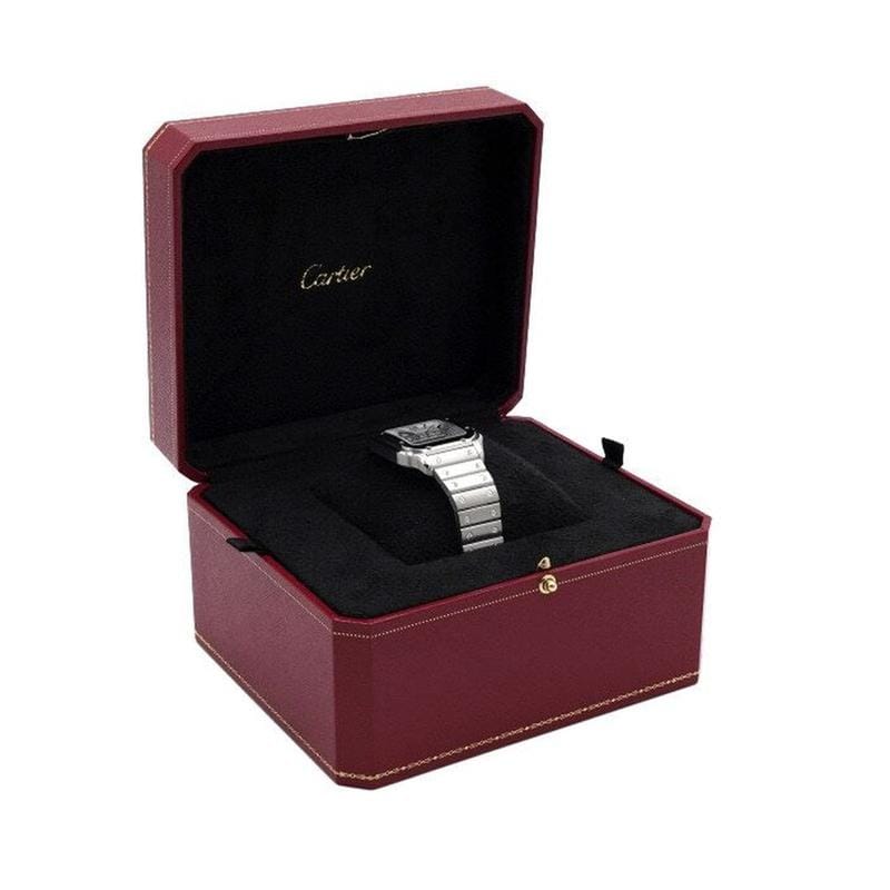 Cartier Santosde Cartier Medium Automatic Steel Men's Watch AA59197