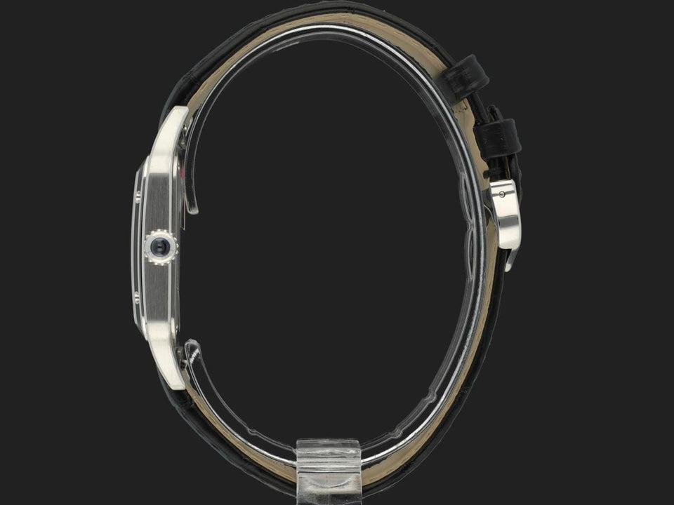 Cartier Santos