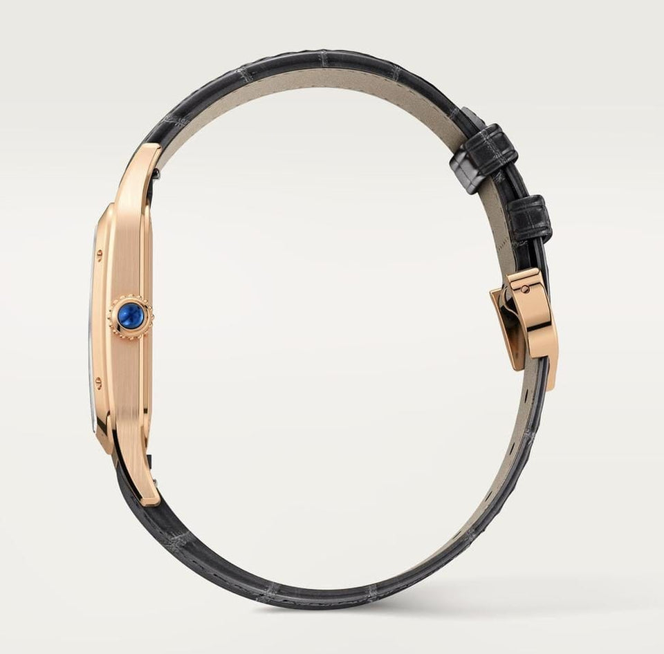 Cartier Santos