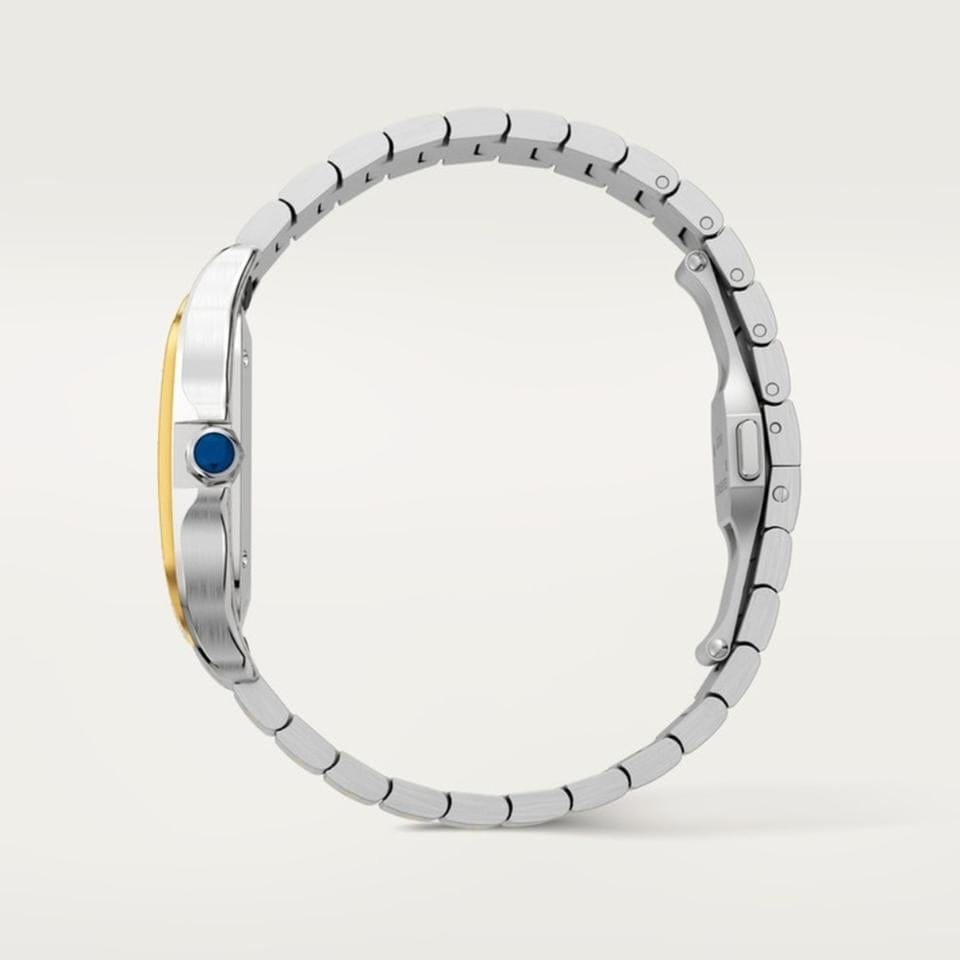 Cartier Santos
