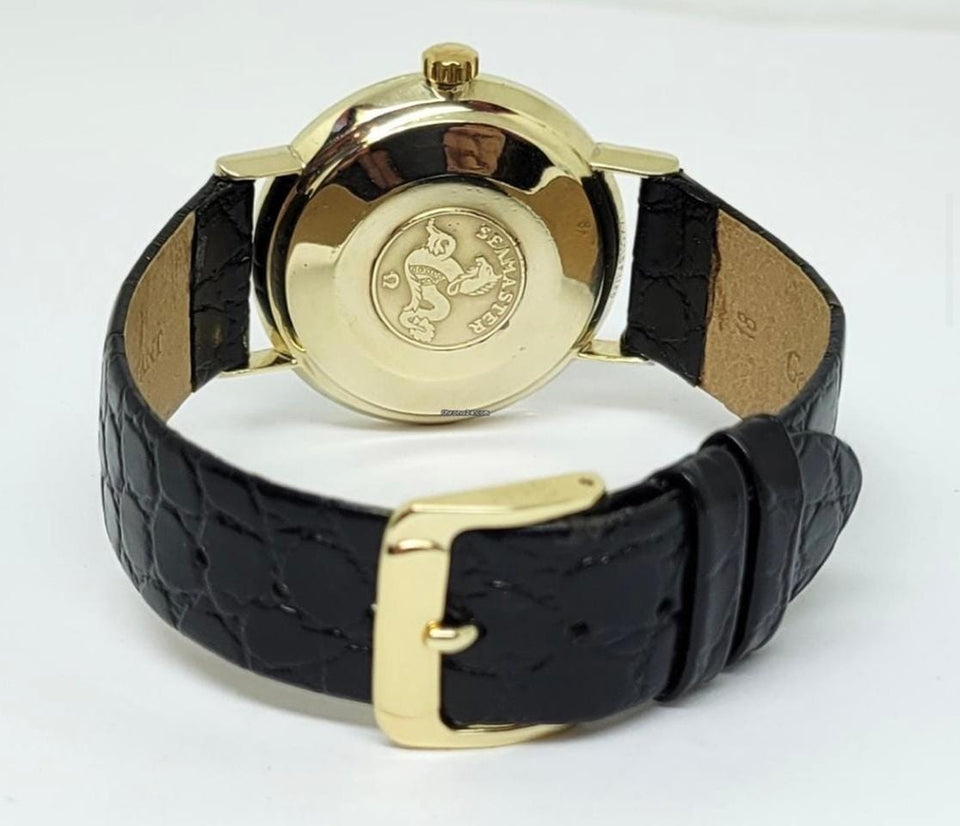 Omega Seamaster