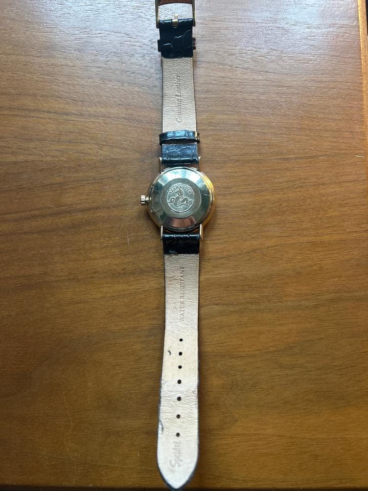 Omega Seamaster