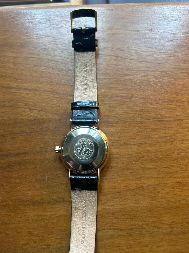 Omega Seamaster