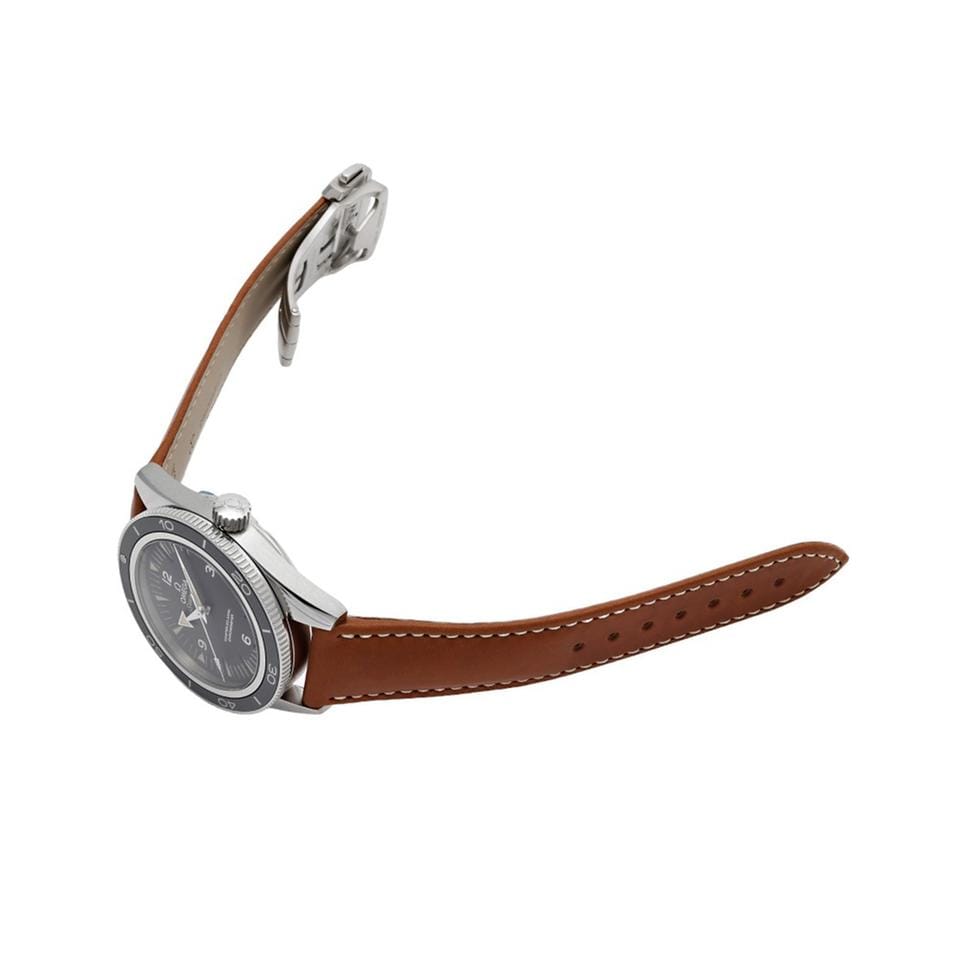 Omega Seamaster