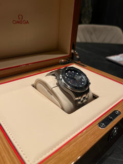 Omega Seamaster