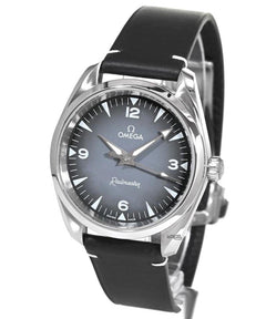 Omega Seamaster Railmastergrey dial 38mm 235.12.38.20.06.001