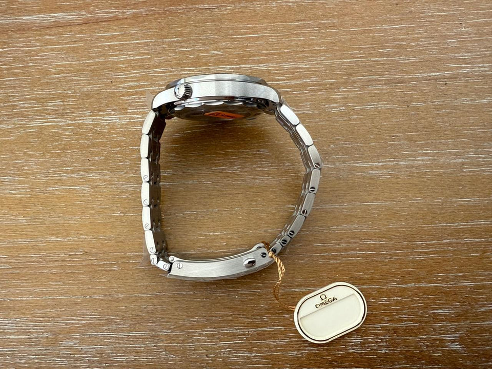 Omega Seamaster Diver 300 MCo 210.30.42.20.04.001
