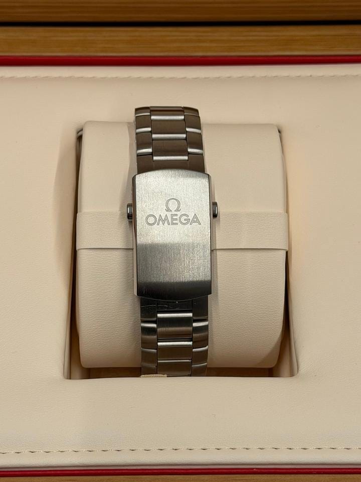 Omega Seamaster Planet Ocean215.30.40.20.01.001