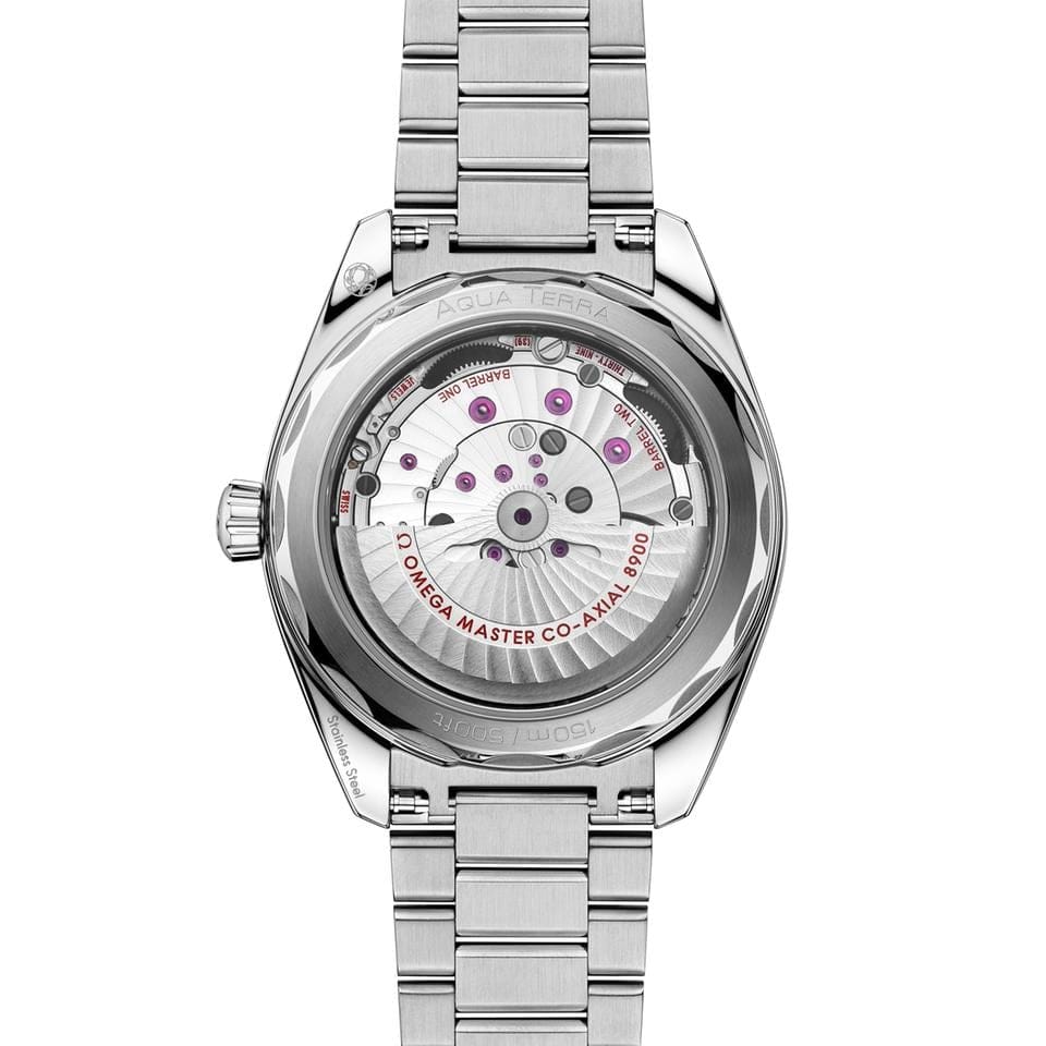 Omega Seamaster Aqua Terra150 M Seamaster Aqua Terra 150 M 41 mm steel on steel - 220.10.41.21.03.006