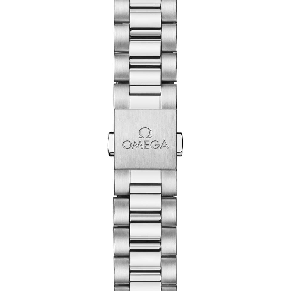 Omega Seamaster Aqua Terra150 M Seamaster Aqua Terra 150 M 41 mm steel on steel - 220.10.41.21.03.006