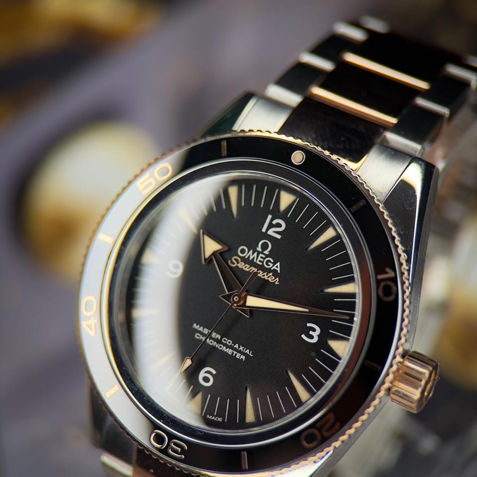 Omega Seamaster 300233.20.41.21.01.001