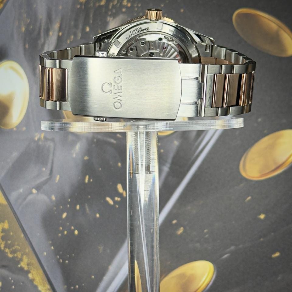 Omega Seamaster 300233.20.41.21.01.001