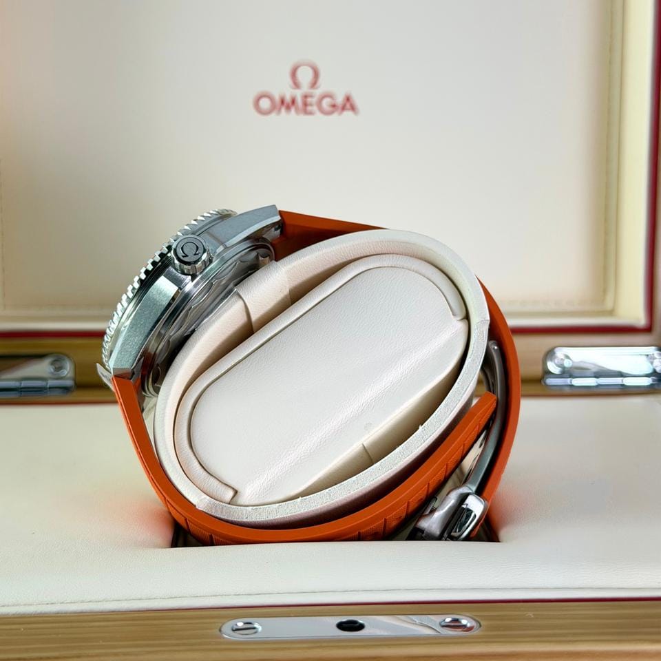 Omega Seamaster Planet Ocean600m 42 mm - 217.32.42.21.01.004