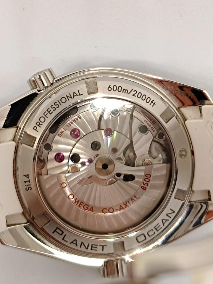 Omega Seamaster Planet Ocean600m 39.5mm acciaio su cinturino pelle