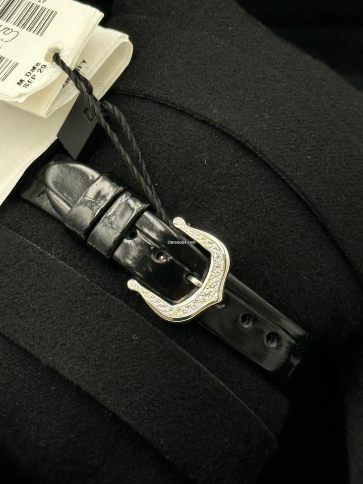 Cartier Panther Crash Diamonds