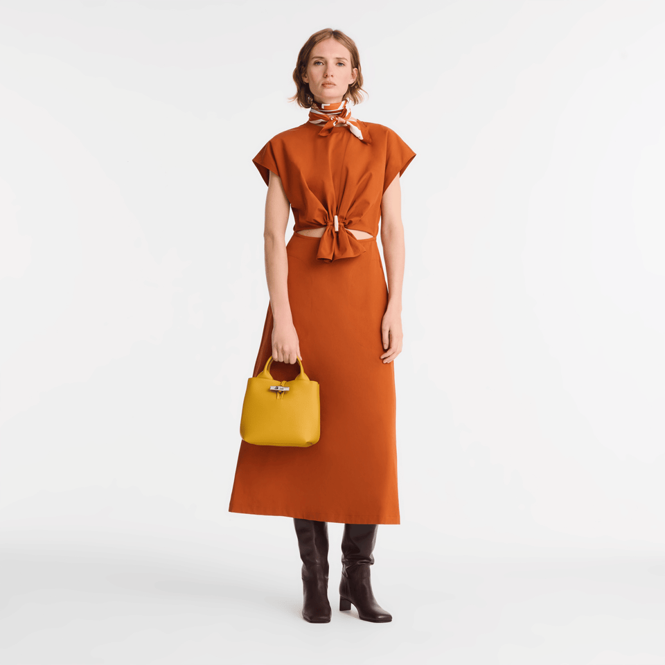 Longchamp Le Roseau S Handbag Nutmeg
