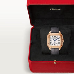 Cartier Santos