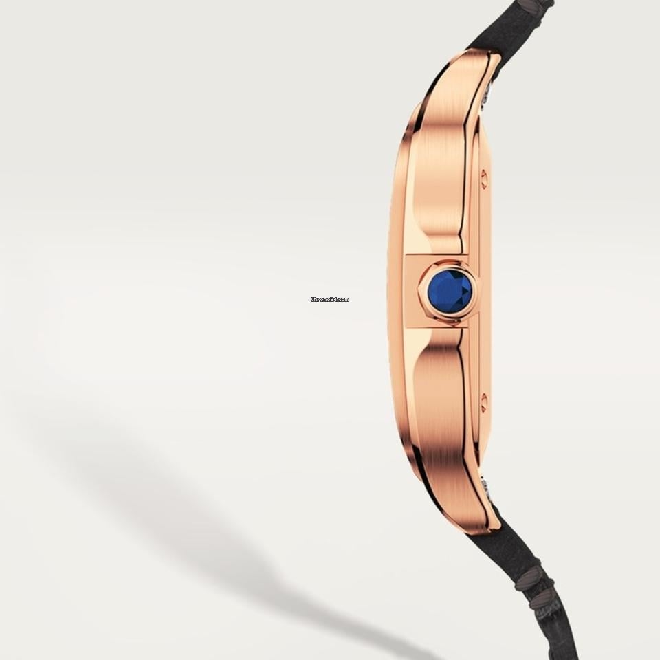 Cartier Santos