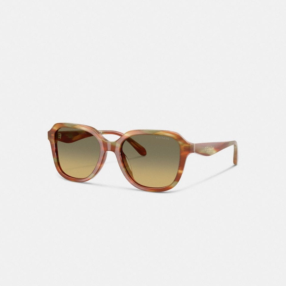 Oval Square Sunglasses
