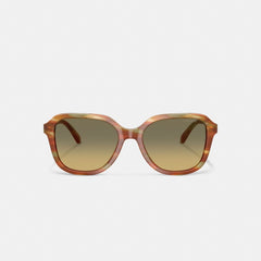 Oval Square Sunglasses