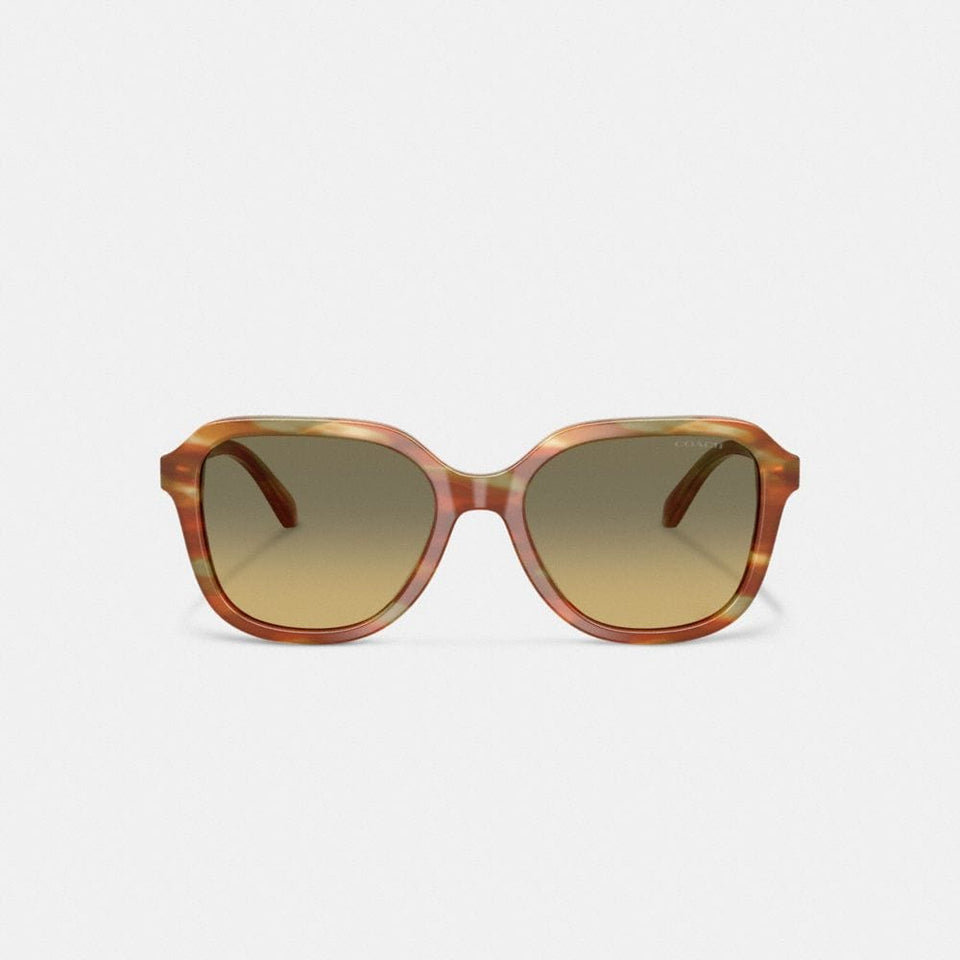 Oval Square Sunglasses
