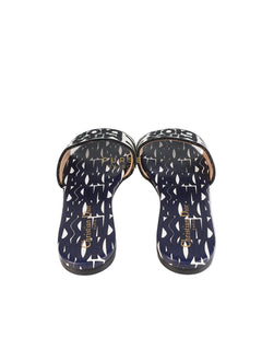 Miss Dior Sandals in Blue
