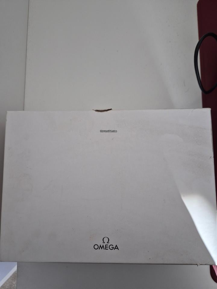 Omega Seamaster Men's Steel Seamaster