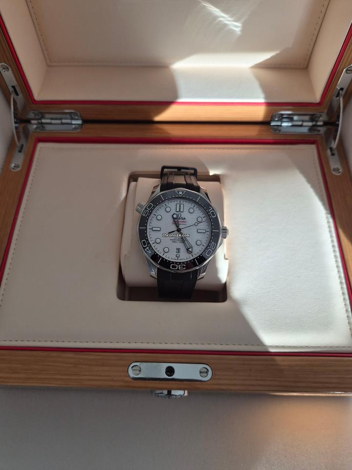 Omega Seamaster Men's Steel Seamaster