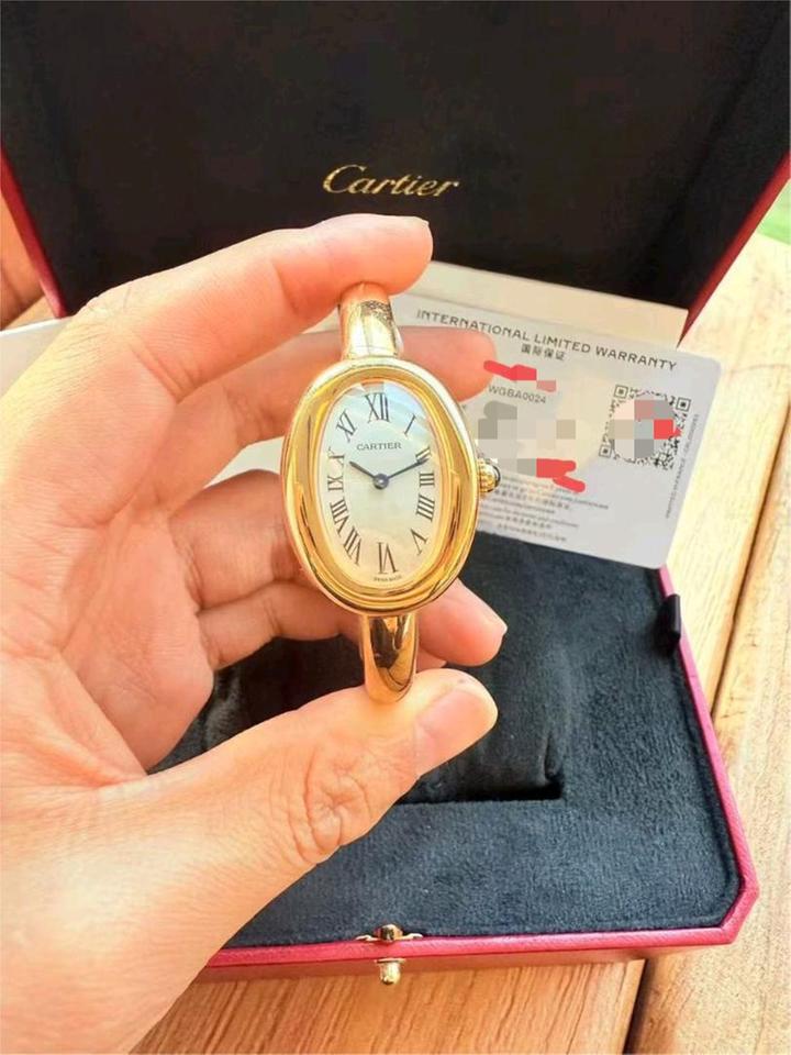 Cartier WGBA0024