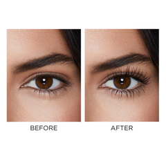 The Eye Edit Set (Holiday Limited Edition)