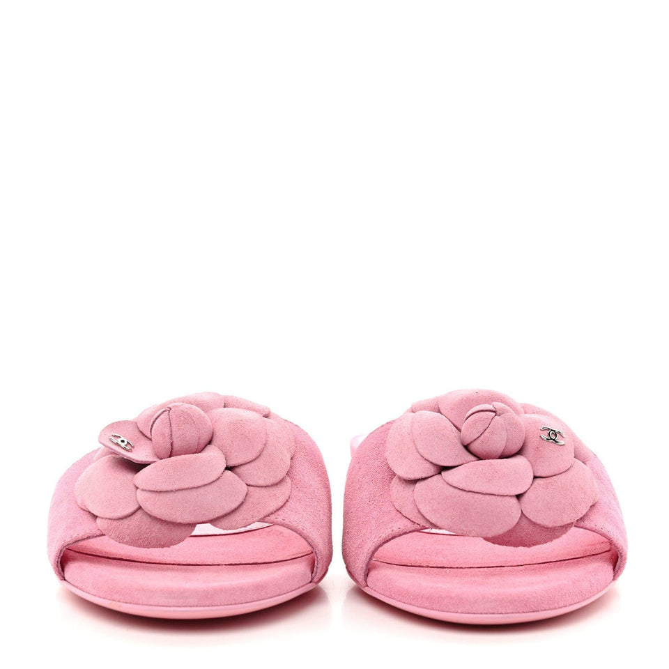 Suede Calfskin Camellia CC Slides
