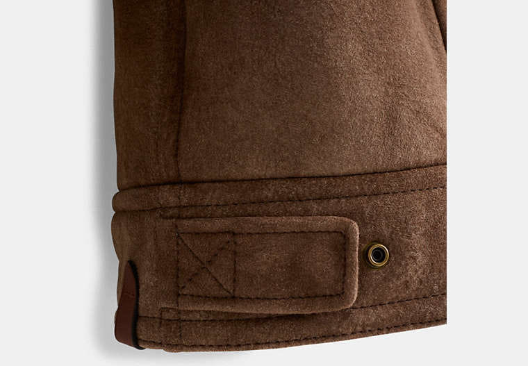 Restored Shearling Trucker Jacket