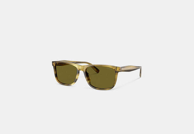 Square Sunglasses