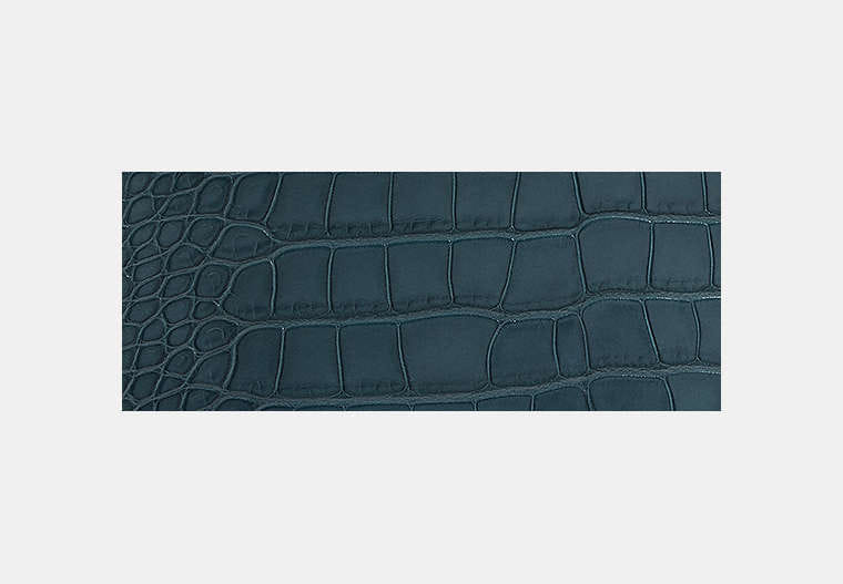 Rogue Bag In Alligator