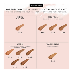 Pro Filt'r Soft Matte Powder Foundation