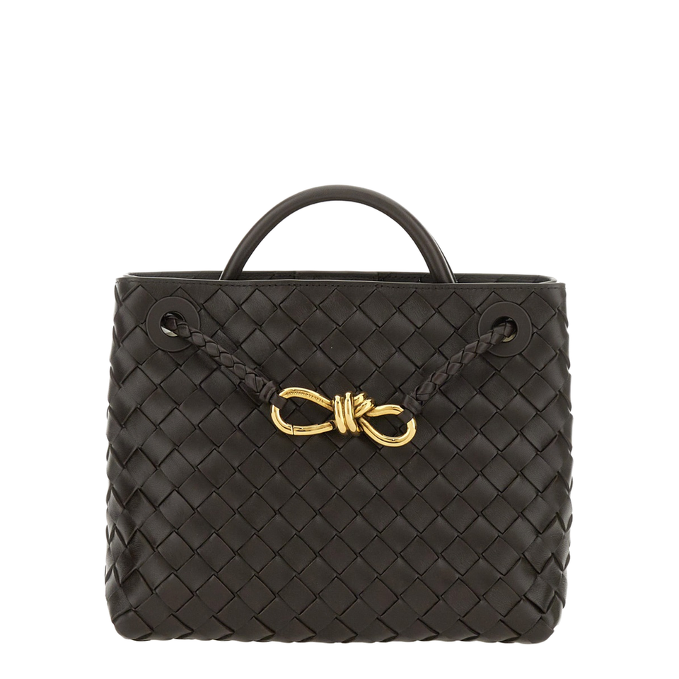Bottega Veneta Andiamo Small Lambskin Handbag - Fondant