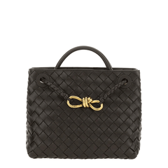 Bottega Veneta Andiamo Small Lambskin Handbag - Fondant
