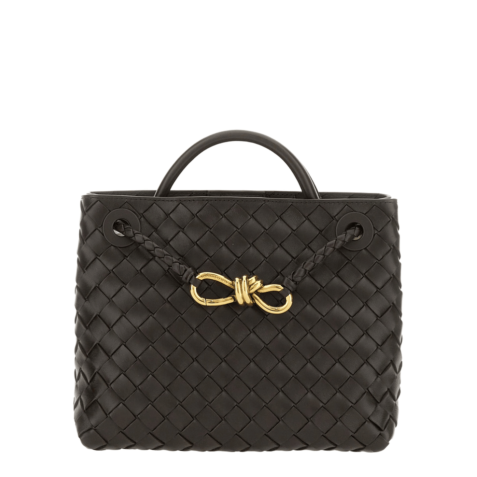 Bottega Veneta Andiamo Small Lambskin Handbag - Fondant
